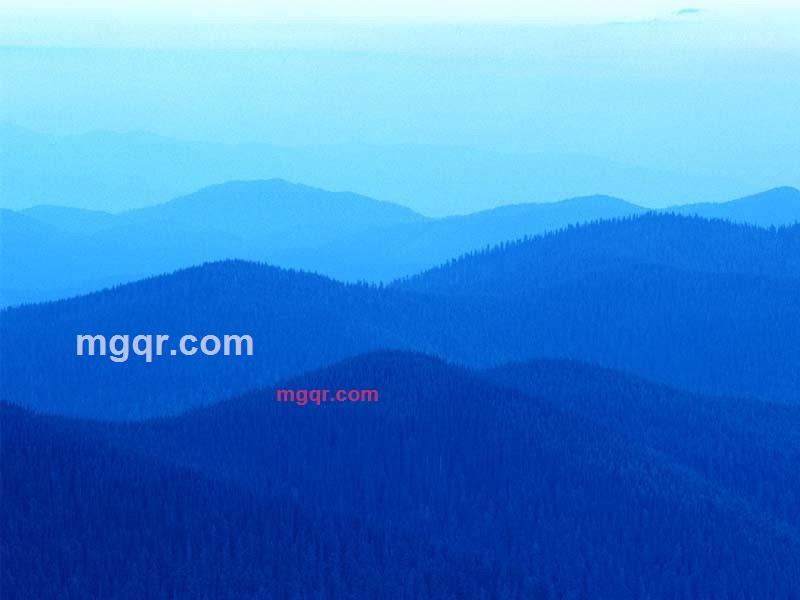 东义的第1张照片