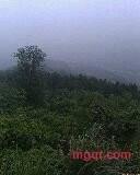 性随爱的第1张照片