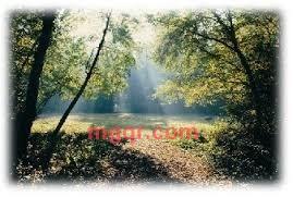 haoren7-1的第8张照片