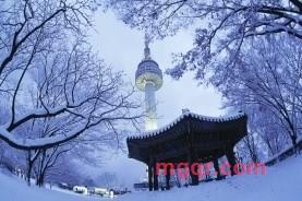 haoren7-1的第4张照片