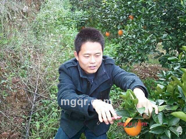 小龙子的第3张照片