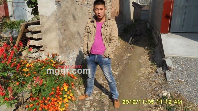 转身从此陌生的第4张照片