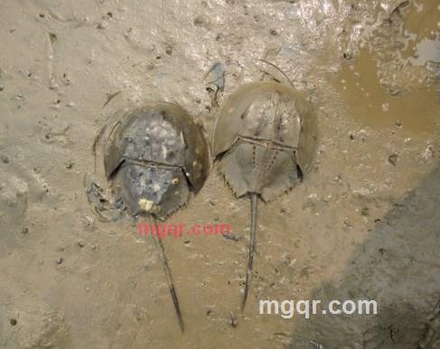 我爱了就爱了的第2张照片