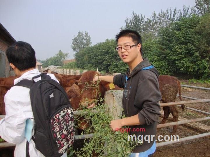 右手边是你的第2张照片