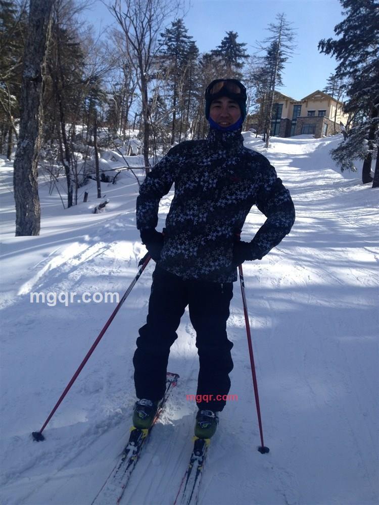 Tree-在找你的第1张照片