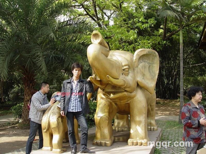 luoyefengling的第2张照片