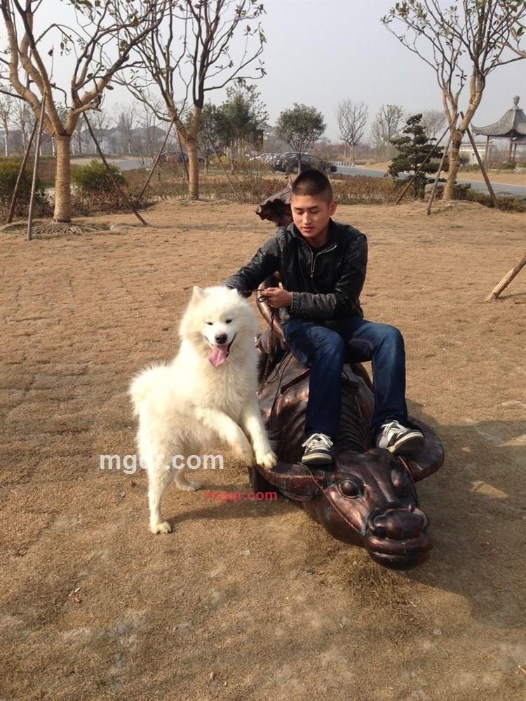 两腿间的私欲的第5张照片