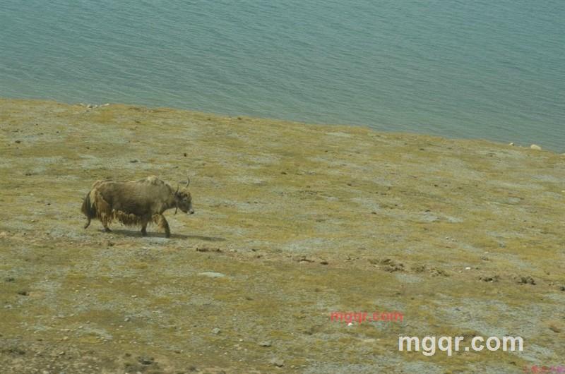 有来@有往的第5张照片