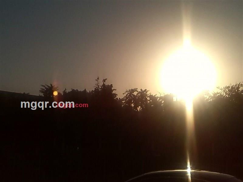 睡不着的小歪的第1张照片