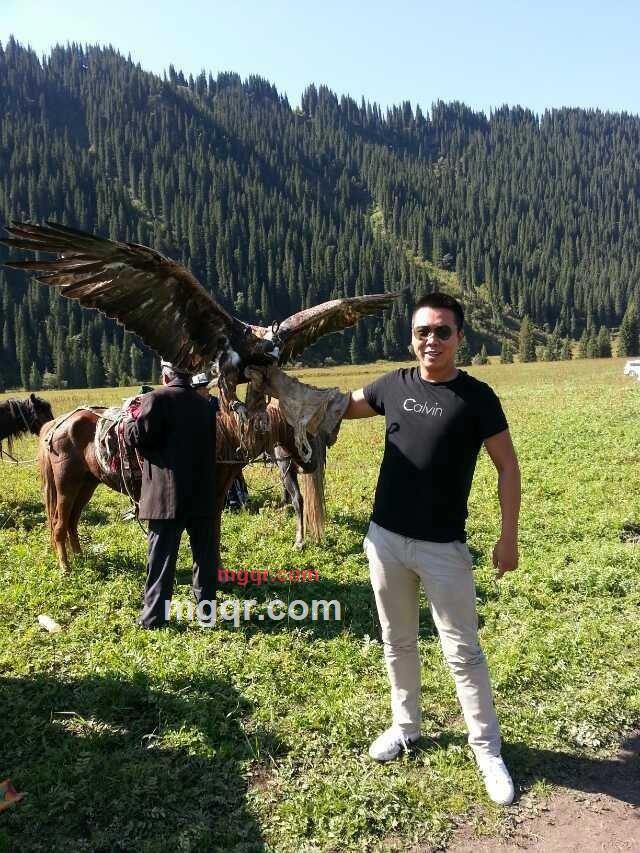 洋洋5033的第1张照片