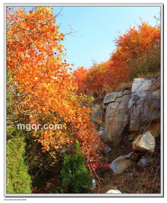 独行黑马的第4张照片