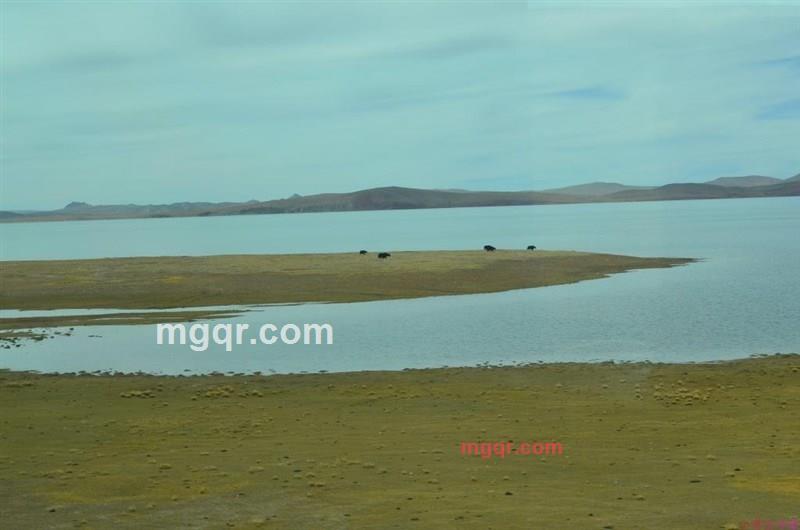 有来@有往的第18张照片