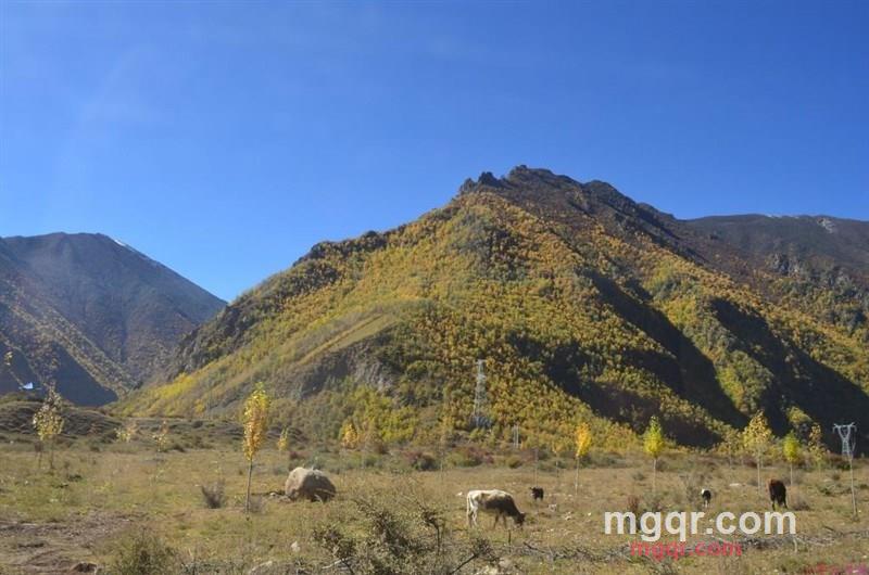 有来@有往的第17张照片