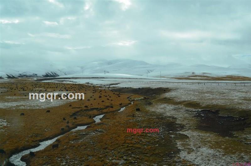 有来@有往的第16张照片