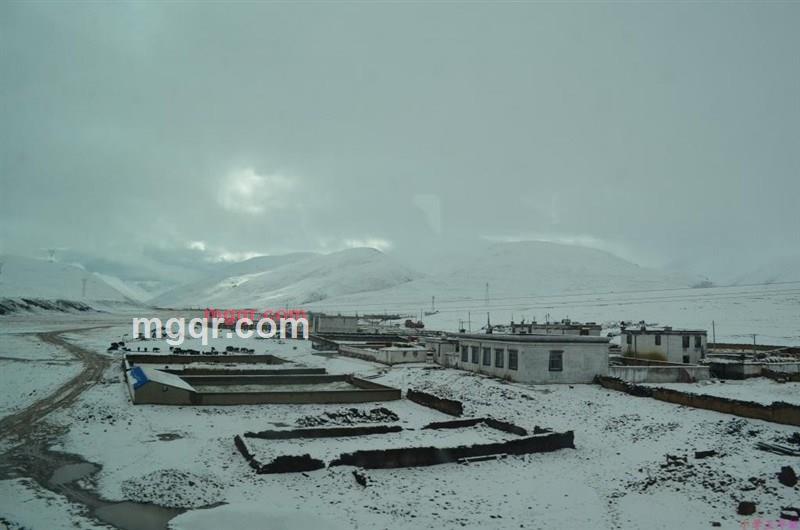 有来@有往的第14张照片