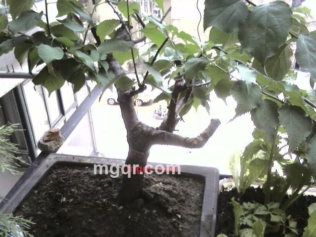 ≈逐≈浪≈的第9张照片