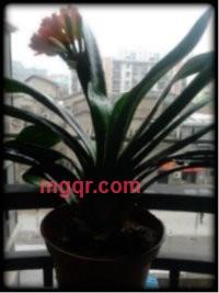 ≈逐≈浪≈的第8张照片