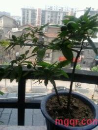 ≈逐≈浪≈的第6张照片