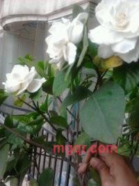 ≈逐≈浪≈的第7张照片