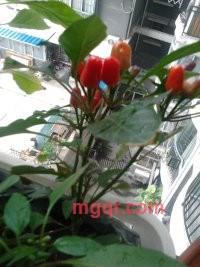 ≈逐≈浪≈的第5张照片