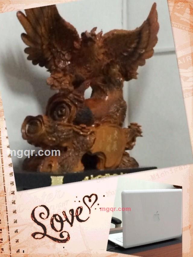 哥哥进的第1张照片