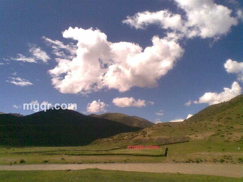 施瓦辛格子彧的第3张照片