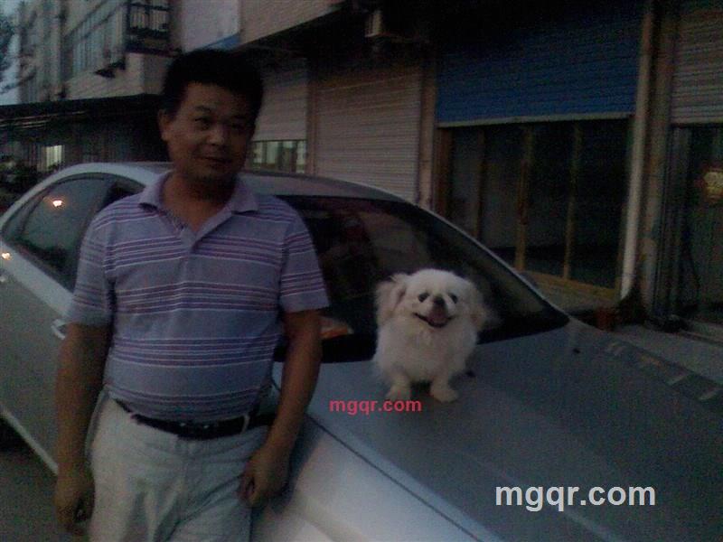 丹凤朝阳的第2张照片