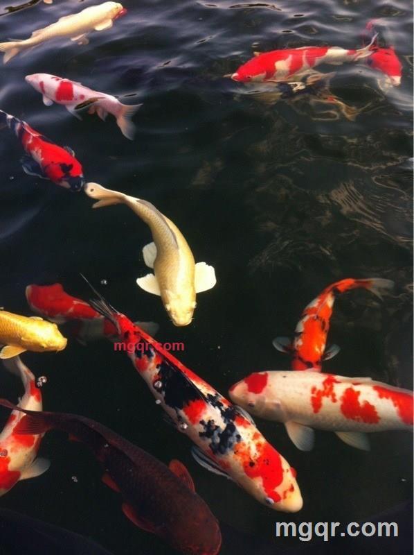 人生若只是初见ゞ的第4张照片