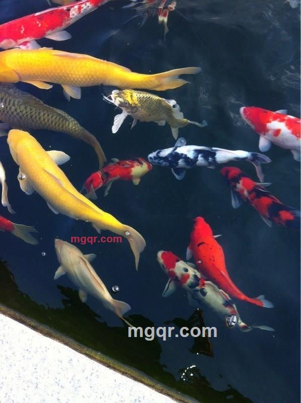 人生若只是初见ゞ的第3张照片