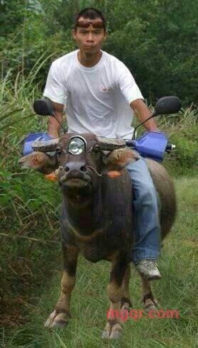 只求永远的第1张照片