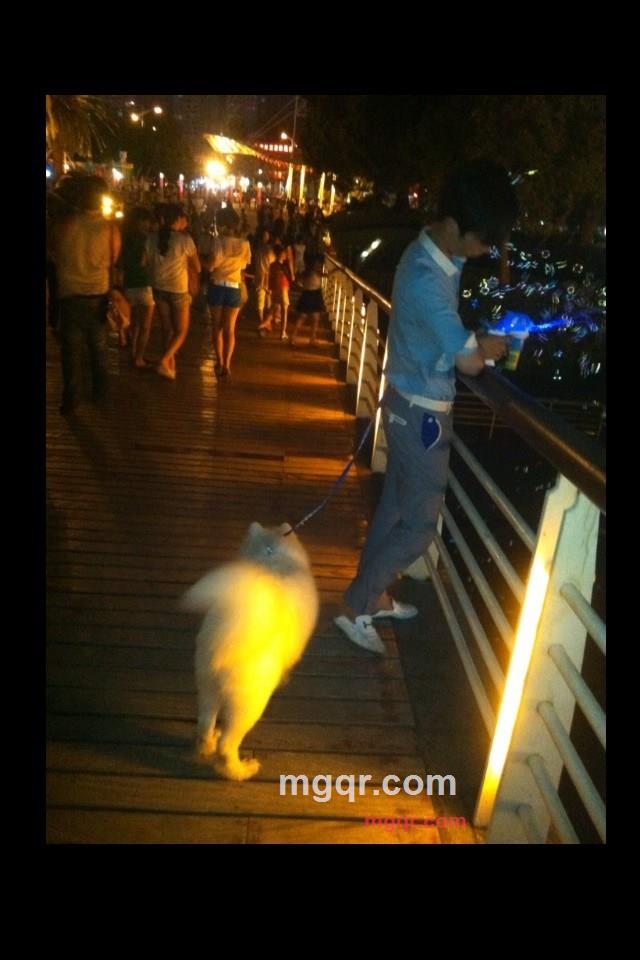 进口后生的第1张照片