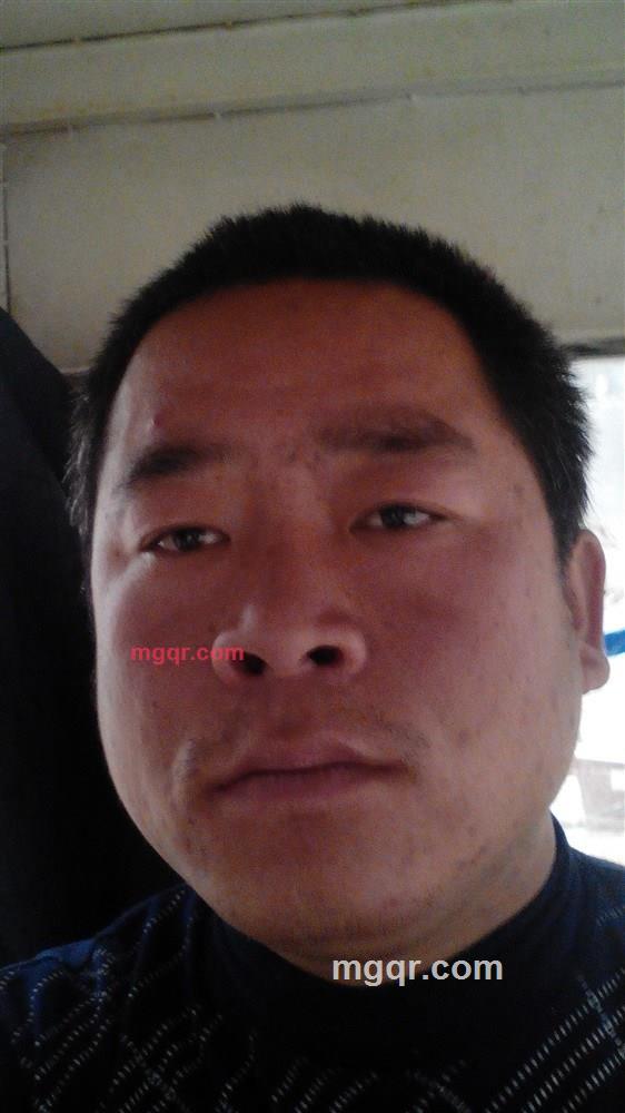 小小鸟鸟的第1张照片