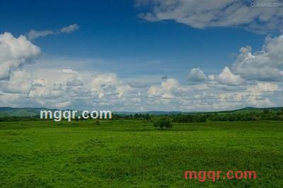 席大哥的第2张照片