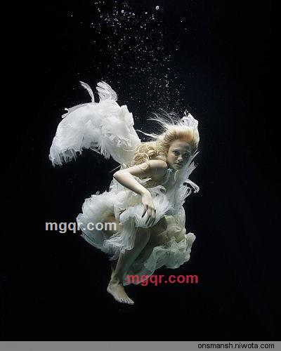 8 3 8 5 2 0 8 1 4的第4张照片