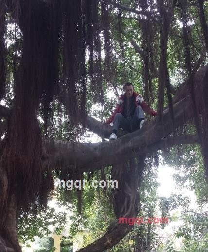 歌神Lance的第3张照片