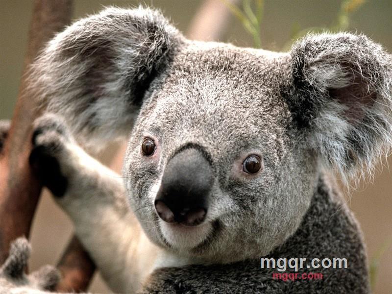 adianji的第1张照片