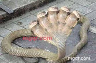 天涯Q的第1张照片