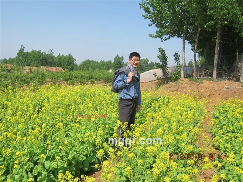 通天帝国侠的第1张照片