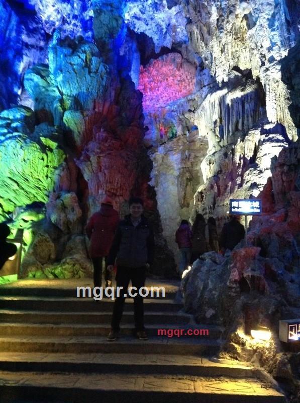 二十八层楼的狼的第1张照片