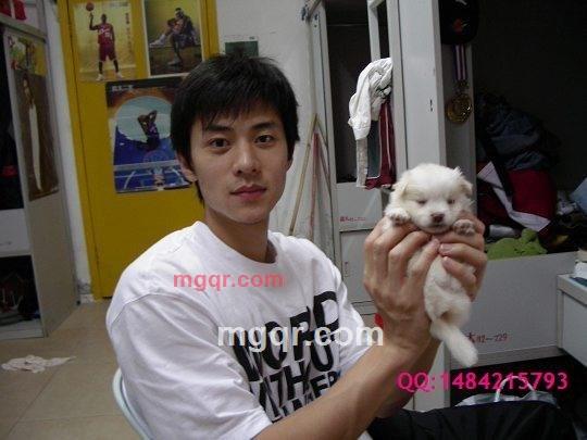 xiongying1的第1张照片