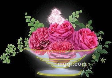 不倦鸟的第2张照片