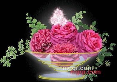 不倦鸟的第1张照片