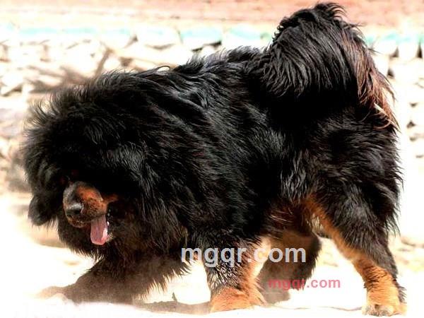 齐怪哥的第1张照片