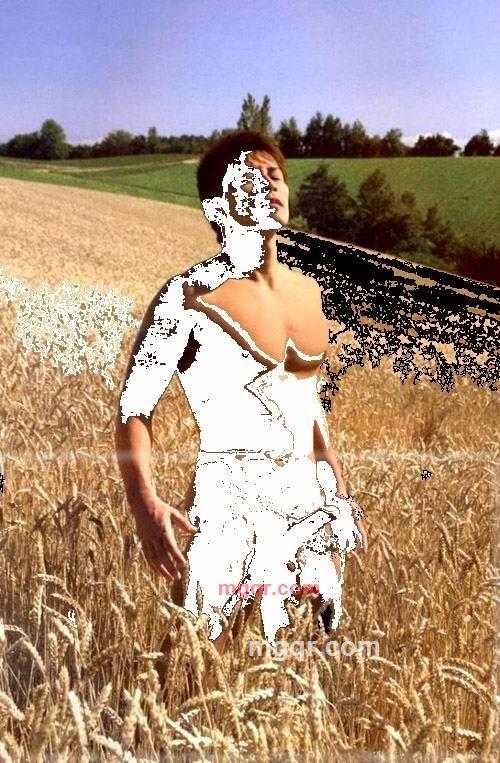 让你飘飘欲仙啊的第1张照片