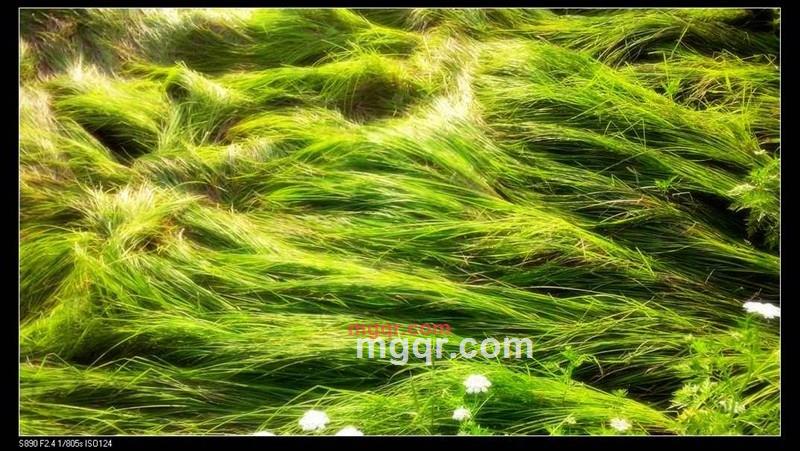 独行黑马的第1张照片