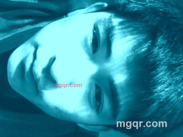 新不了情的第1张照片