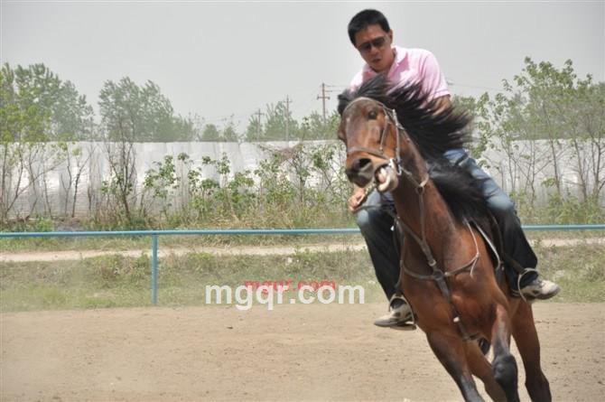 那曲的第4张照片