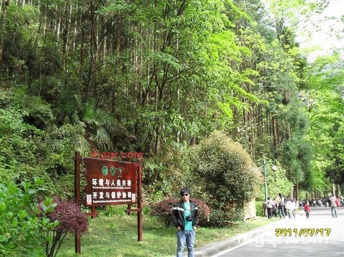 夏天哟的第3张照片