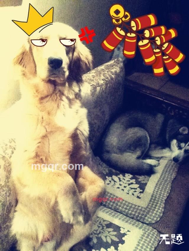 某夜路过的地铁的第2张照片