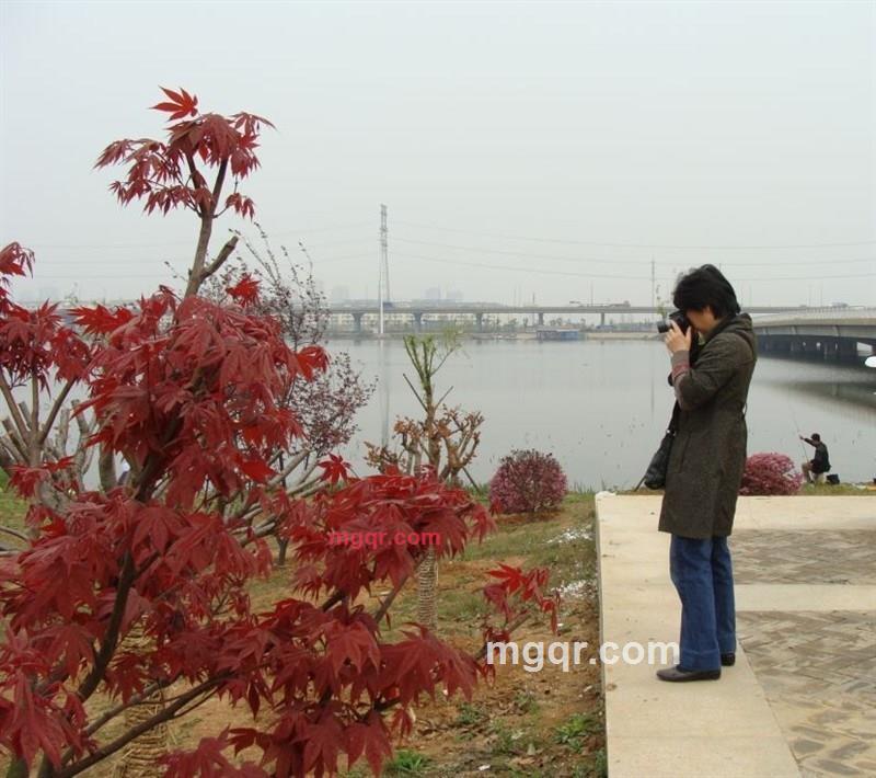 情感孤独的lzx的第2张照片